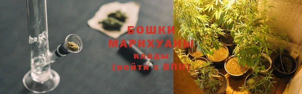 стафф Кулебаки