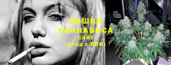 стафф Кулебаки