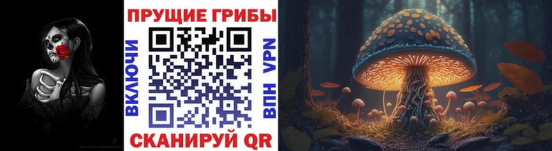 закладка  Михайловка  ОМГ ОМГ вход  Галлюциногенные грибы Psilocybine cubensis 